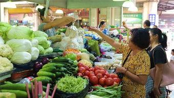 海口今日瓜菜价,市民菜篮子成本几何？