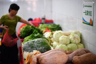 海口今日瓜菜价,市民菜篮子成本几何？