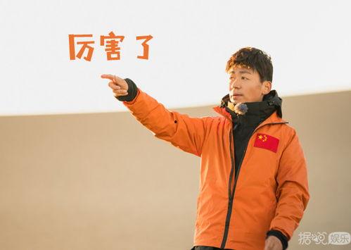 吃瓜爆料王宝强,吃瓜爆料背后的真相与启示