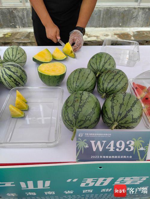 乐东二瓜今日价格,价格行情一览”