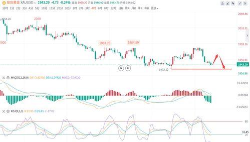 今日七叶瓜价格行情走势,今日行情走势解析