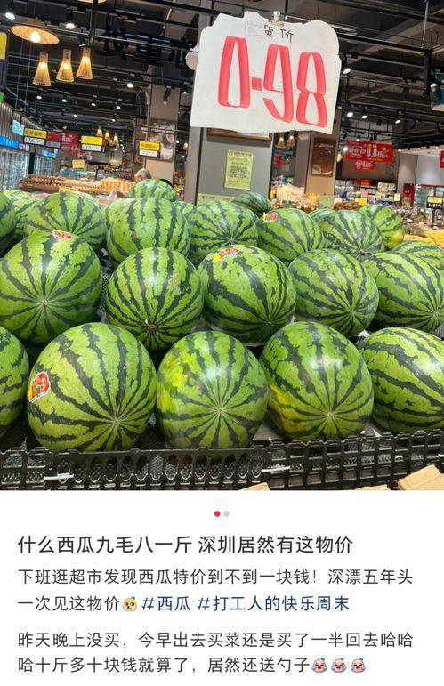 东莞今日鲜瓜价,市场行情一览”