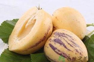 黑蛋瓜有啥药用功效呢怎么吃,神奇药用功效与食用方法揭秘