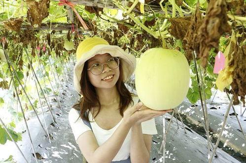 黑料吃瓜网曝一区二区