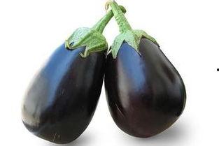 孕妇可以吃黑茄瓜吗,黑茄瓜的营养益处与食用建议