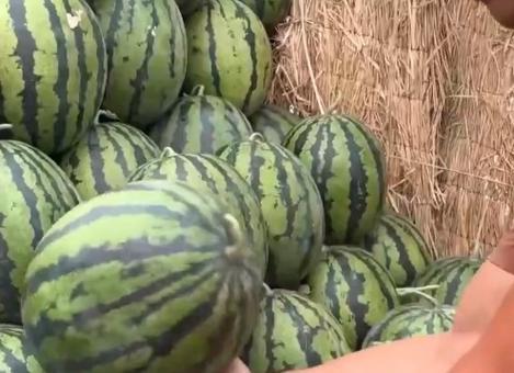 56全网吃瓜爆料,揭秘娱乐圈最新热点事件