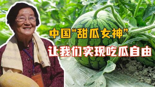 56全网吃瓜爆料,揭秘娱乐圈最新热点事件