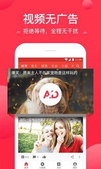 今日吃瓜爆料正能量视频下载,正能量视频带你领略人间美好