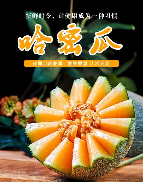 高碑店蜜瓜批发市场今日价格表,高碑店蜜瓜批发市场今日价格行情一览