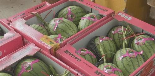 网红吃瓜爆料福利,福利大放送！