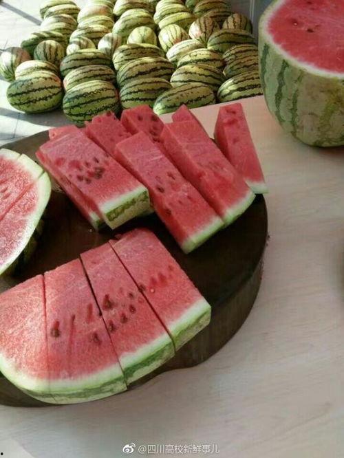 最新大学吃瓜爆料,最新吃瓜爆料，揭秘那些不为人知的校园秘密