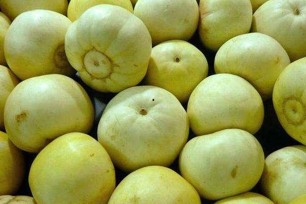 山瓜甜瓜今日价格行情最新,今日行情一览