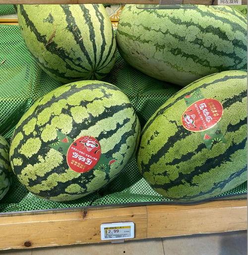 重庆小瓜价格今日行情,价格波动与市场动态一览