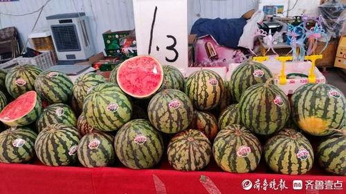 重庆小瓜价格今日行情,价格波动与市场动态一览