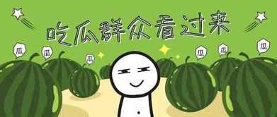 今日宜吃瓜小说在哪里看,今日宜吃瓜小说，独家阅读指南大公开！