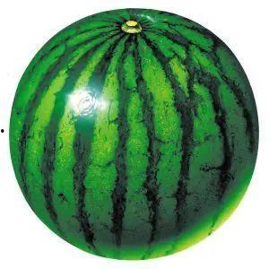 朋友圈今日吃瓜一天西瓜,今日西瓜盛宴