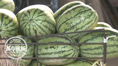 朋友圈今日吃瓜一天西瓜,今日西瓜盛宴
