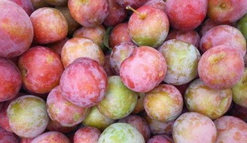 李黑李子吃瓜,揭秘娱乐圈幕后故事