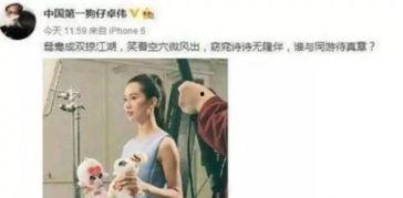 吃瓜爆料刘诗诗,瓜田里的甜蜜秘密