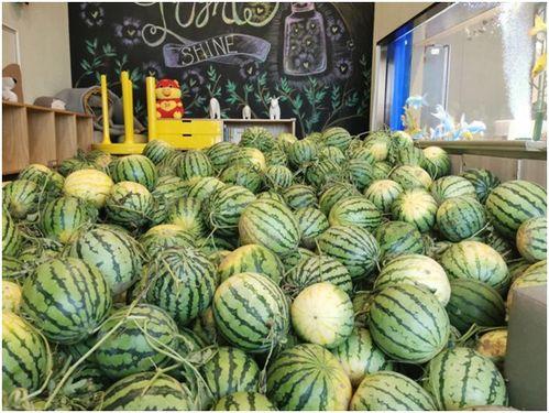 hlj吃瓜今日热门,揭秘今日热门事件背后的真相与热议