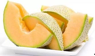 焦作哈密瓜今日价格,价格行情一览”