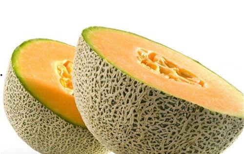 黑花皮茭瓜种子可以吃吗,可食用之谜探究