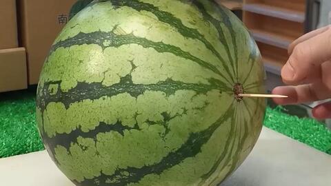 潍坊吃瓜最新爆料视频曝光,最新爆料视频曝光惊人内幕