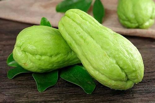 崖城水果吊瓜今日价格最新,价格行情一览