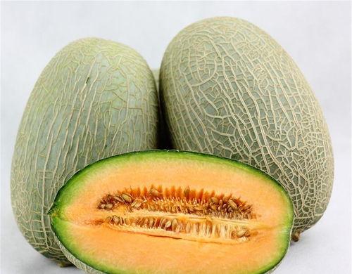 黑妹吃哈密瓜小视频下载