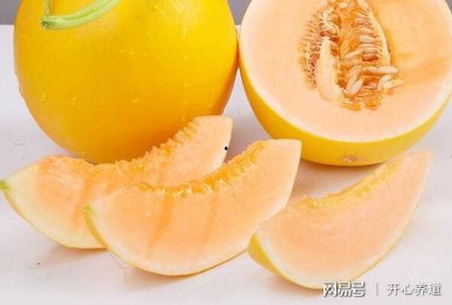 吃黑蜜瓜的功效与作用禁忌,功效与作用解析，禁忌须知