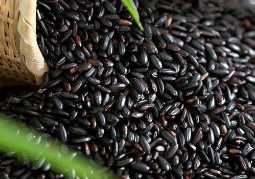 痛风黑米瓜可以吃吗,黑米瓜的适宜食用指南