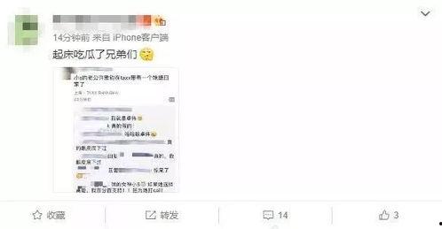 吃瓜群众最新爆料网站,吃瓜群众最新爆料网站，独家内幕一网打尽！