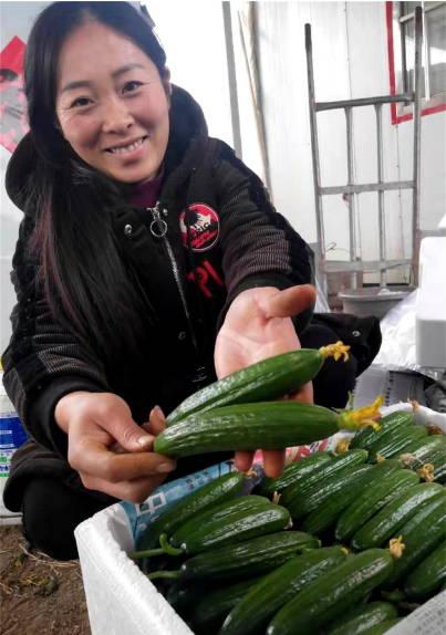 山东临沂吃瓜爆料视频,揭秘当地奇闻轶事