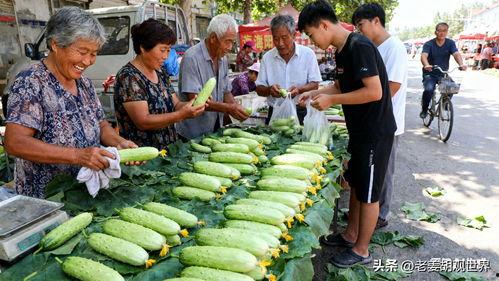 山东临沂吃瓜爆料视频,揭秘当地奇闻轶事