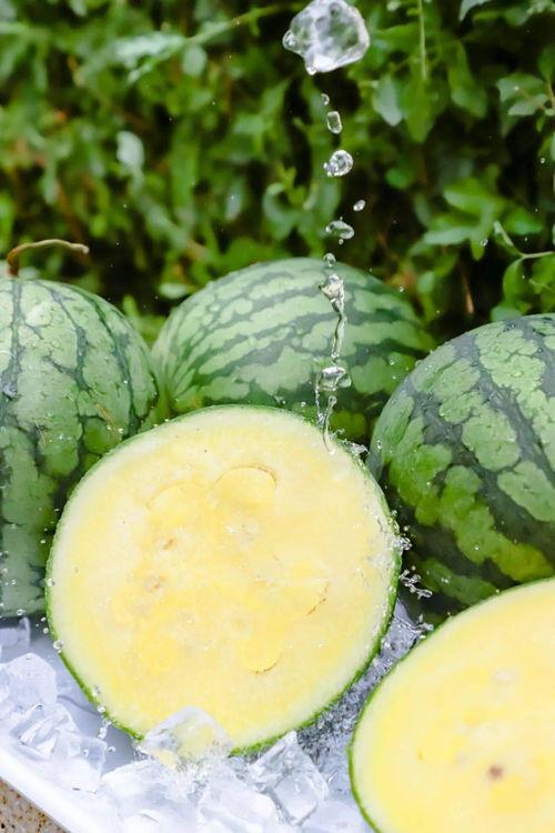 166su吃瓜黑料在线,揭秘网络舆论背后的真相