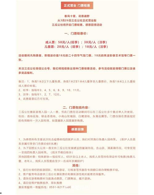 三月瓜今日价目表,最新价目表解析”