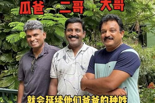 吃瓜网红内幕爆料,揭秘吃瓜网红背后的惊人内幕