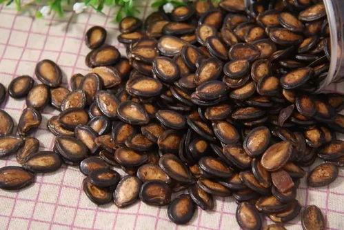 吃瓜一把黑瓜子,黑瓜子的魅力与秘密