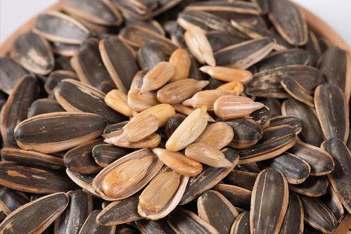 吃瓜一把黑瓜子,黑瓜子的魅力与秘密