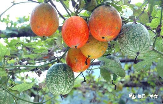 今日2k吊瓜价格多少,今日行情一览”