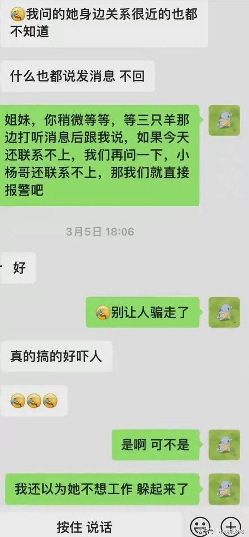 小杨哥吃瓜爆料,娱乐圈幕后真相大揭秘