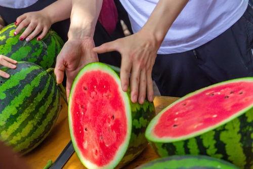 四川今日吃瓜,瓜田李下，美食与趣闻共舞
