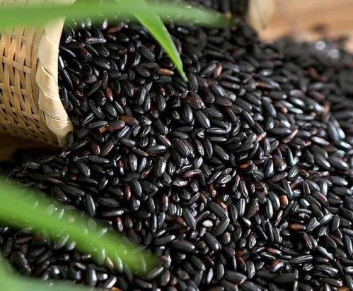 怀孕可以吃黑米瓜吗,黑米瓜的适宜与禁忌