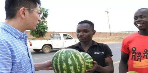 商河吃瓜黑料事件真相