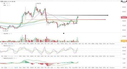 汉瓜今日行情走势分析,洞察今日走势背后的市场动态