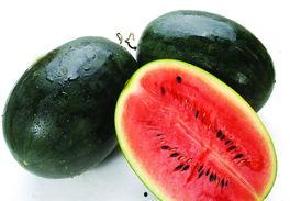 双反差黑料吃瓜网,吃瓜网带你探秘娱乐圈风云