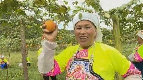 蒲城吊瓜今日行情