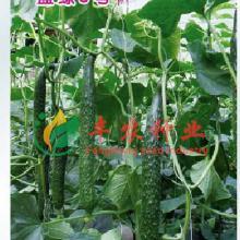 今日绿瓜茄价格最新行情,今日行情一览