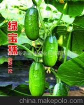 今日绿瓜茄价格最新行情,今日行情一览